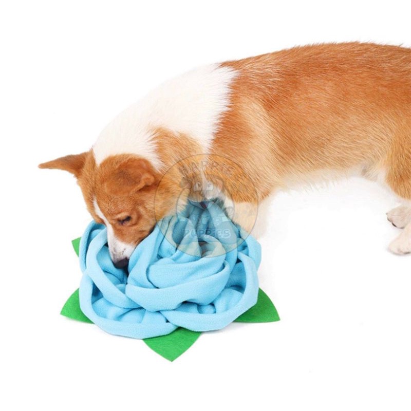 Blooming Rose Pet Interactive Sniffing Snuffle Mat Toy IQ Puzzle Hide  Treats | Shopee Philippines