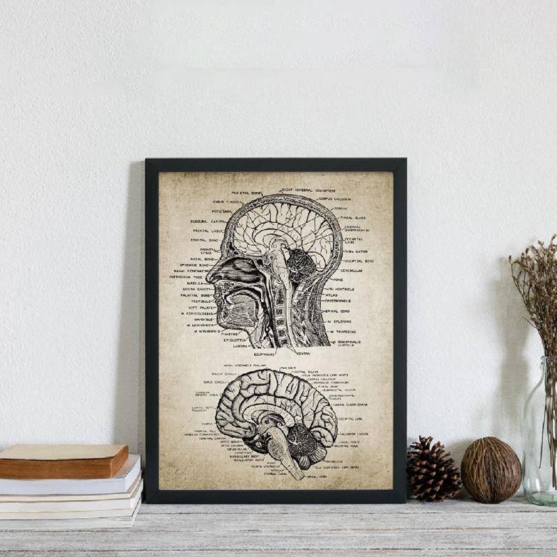Vintage Human Head Brain Anatomy Canvas Art Prints Poster Neuroscience ...