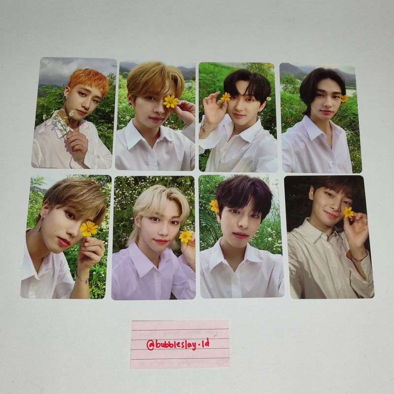 Stray Kids Noeasy'Photocard LImited Benefit' Official POB PC