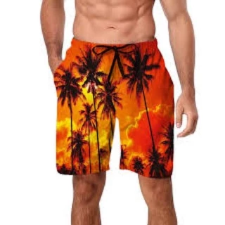 Mens Swim Trunk 3D Print Fishing Print Board Shorts Summer Loose