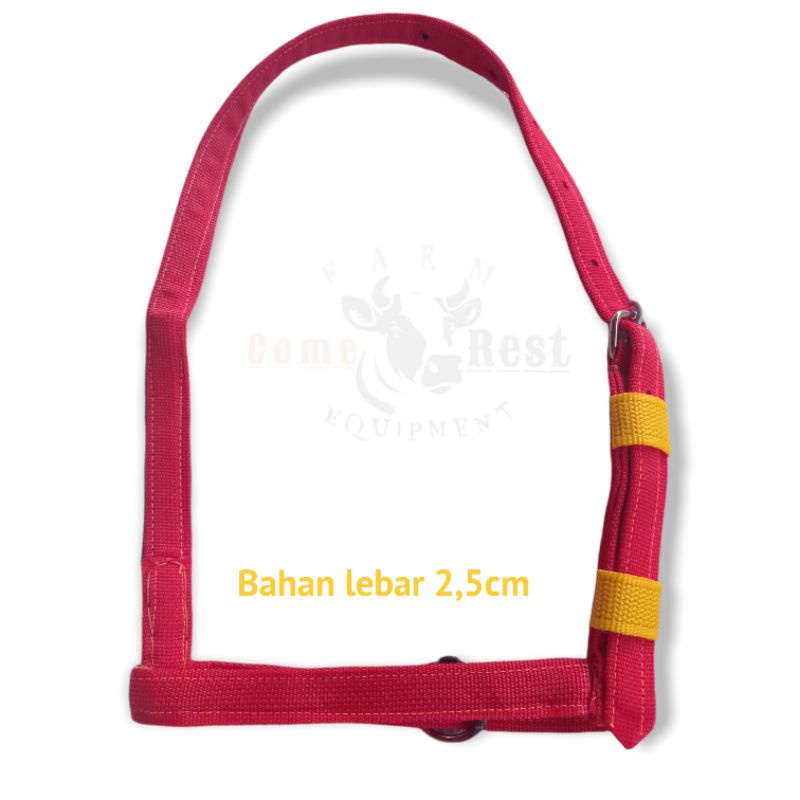 Head HALTER Headband BRANGUS BACOK Beef, Horse, Buffalo ORIGINAL(ORI ...