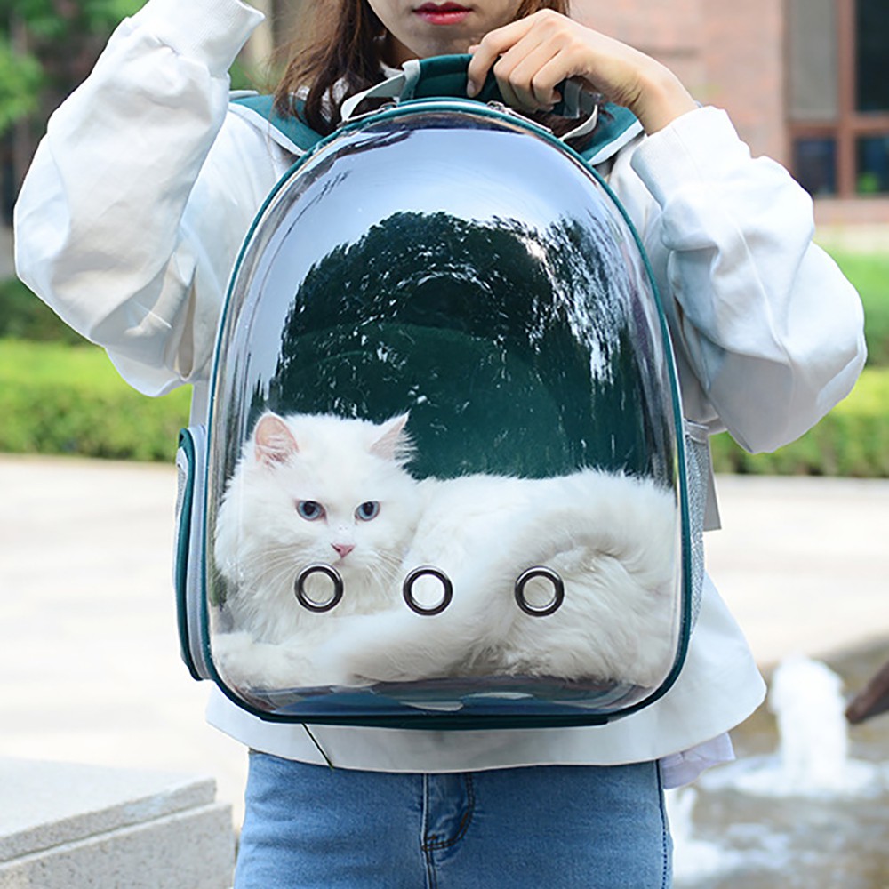 Cat transportation bag sale