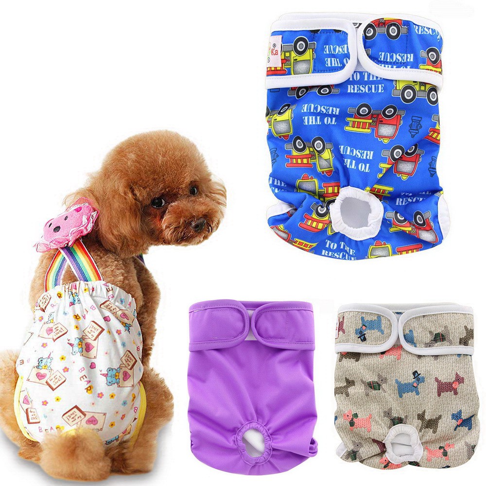 Female Dog Diaper Physiological Panties Pets Washable Doggie Diaper Nappies Dog Bands DN003 Shopee Philippines