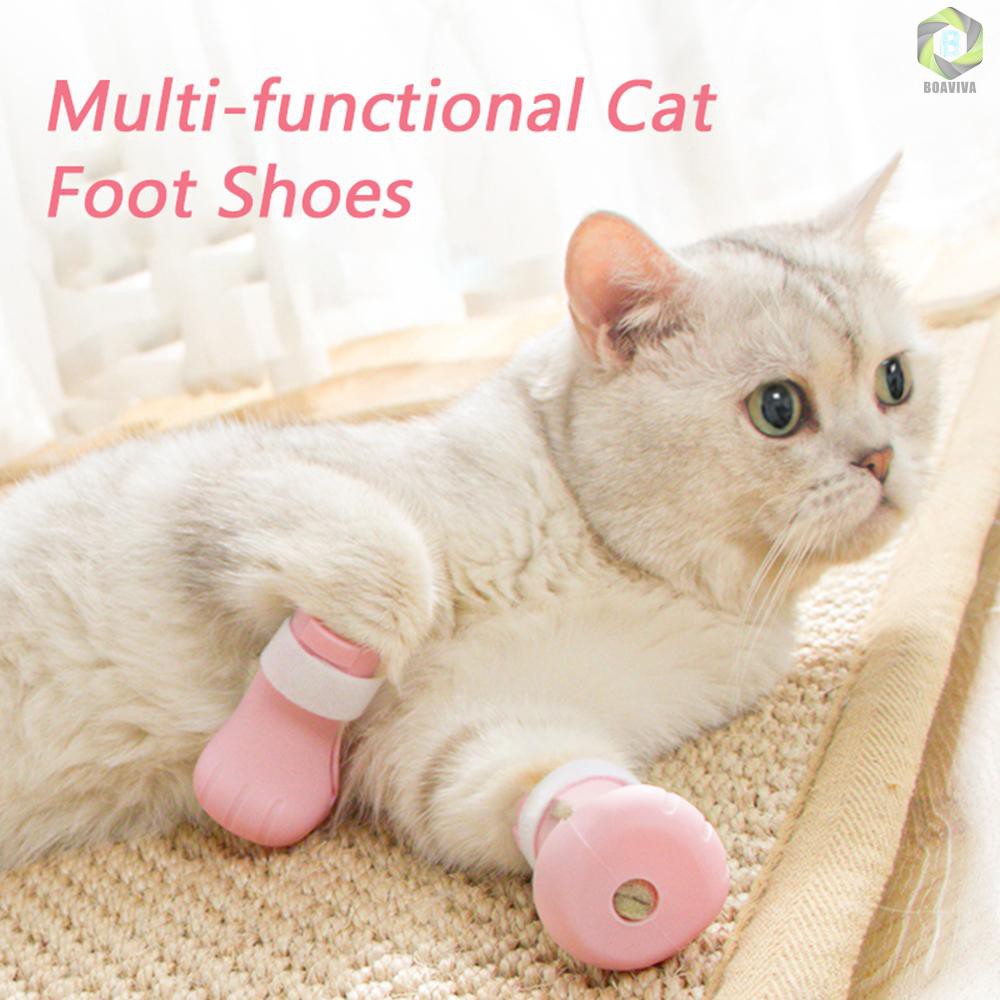 Kittens footwear on sale