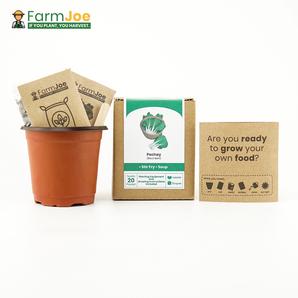 SEED STARTING KIT for First Time Gardeners Grow Kit Seedling Kit