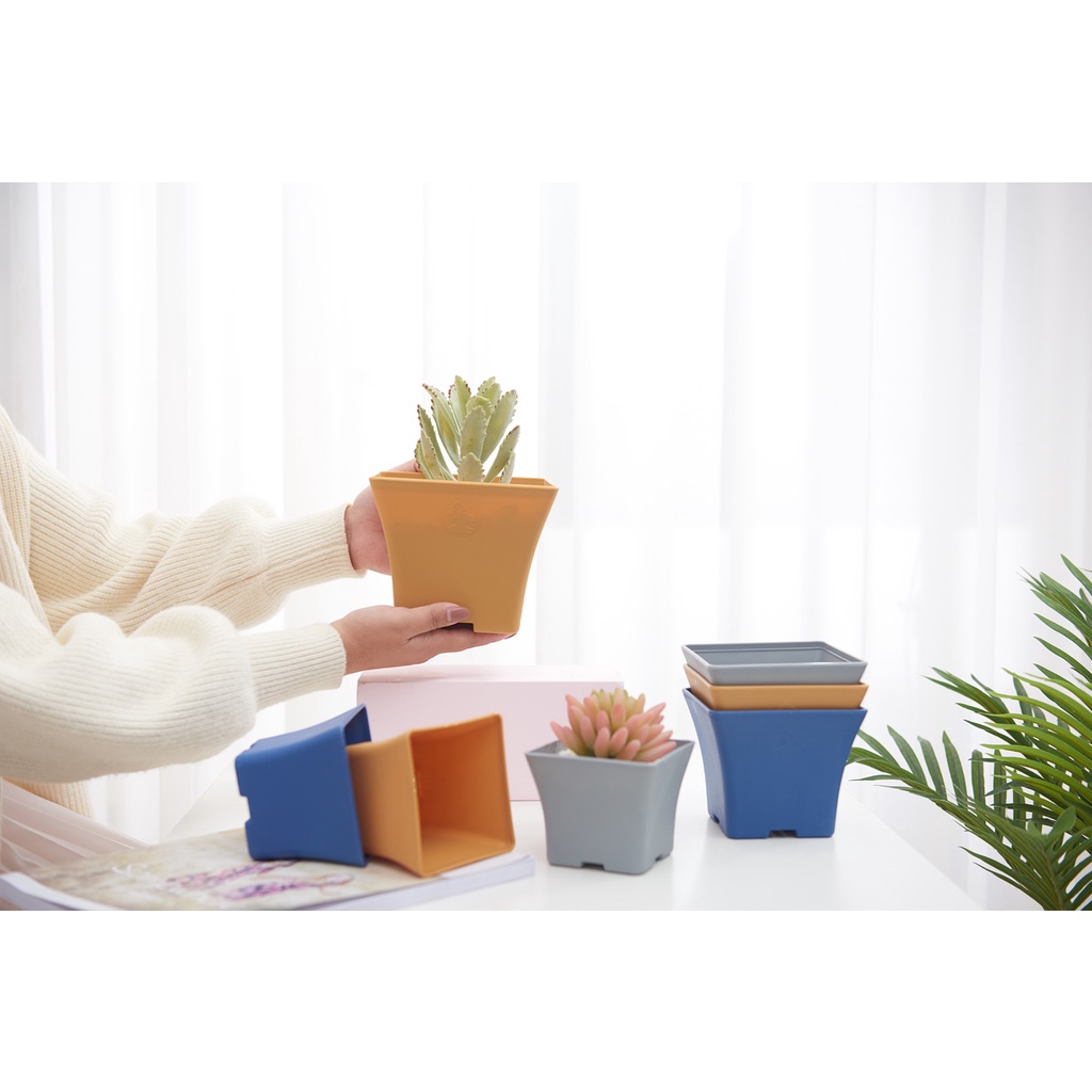 Stylish Unique Square pots for Carnivorous plants, Cactus and