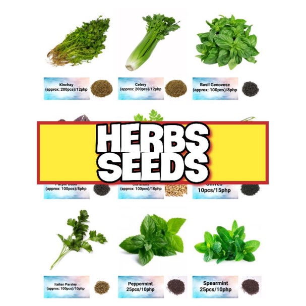 Herbs Seeds (Basil, Coriander, Chives, Celery, Spearmint, Peppermint ...