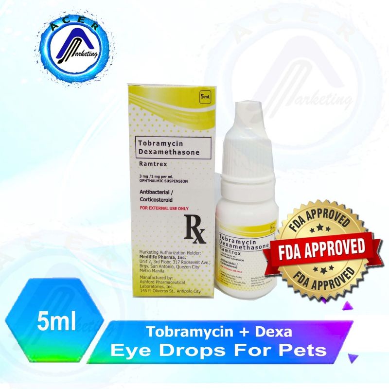 Tobramycin eye drops outlet for dogs dosage