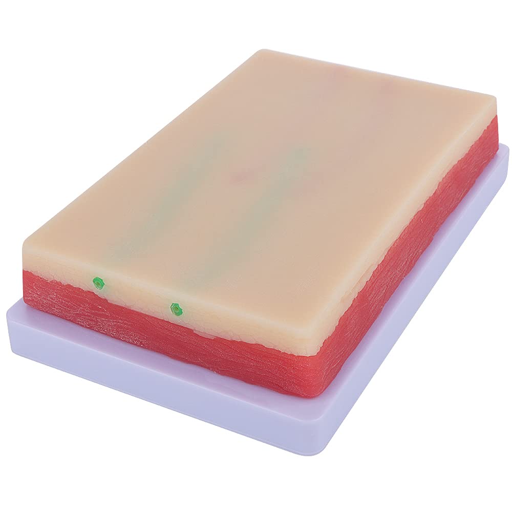 Venipuncture IV Injection Training Pad Model, Silicone Human Skin ...