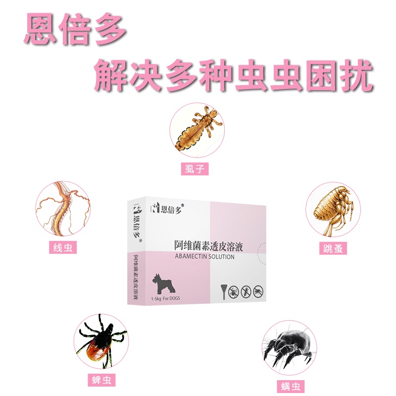 Dog deworming medicine Teddy inside and outside one body to remove