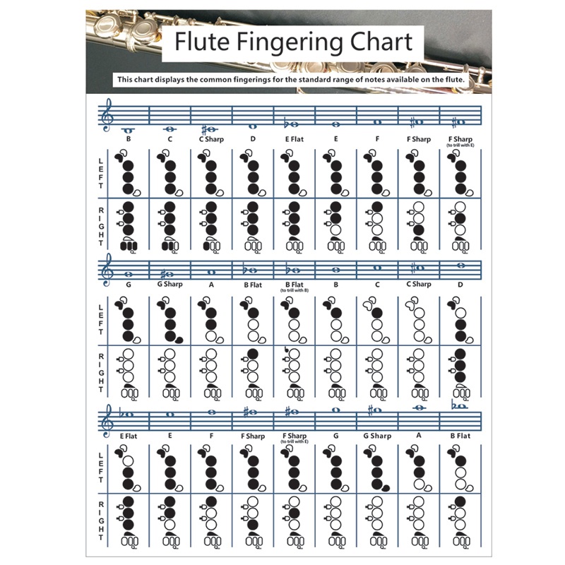 Original Flute Fingering Chart Flute Chord Chart Paper Flute Chords ...