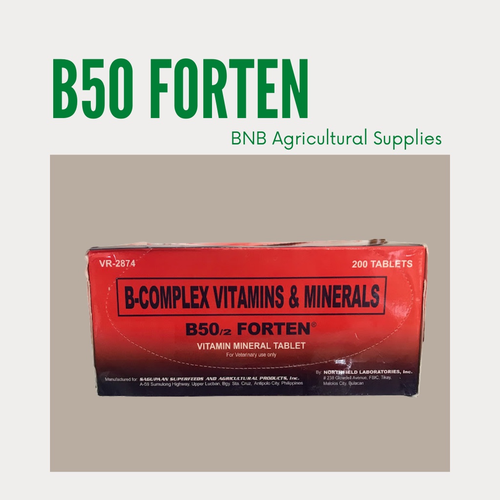 Sagupaan B50 FORTEN Vitamins & Minerals Available per 10