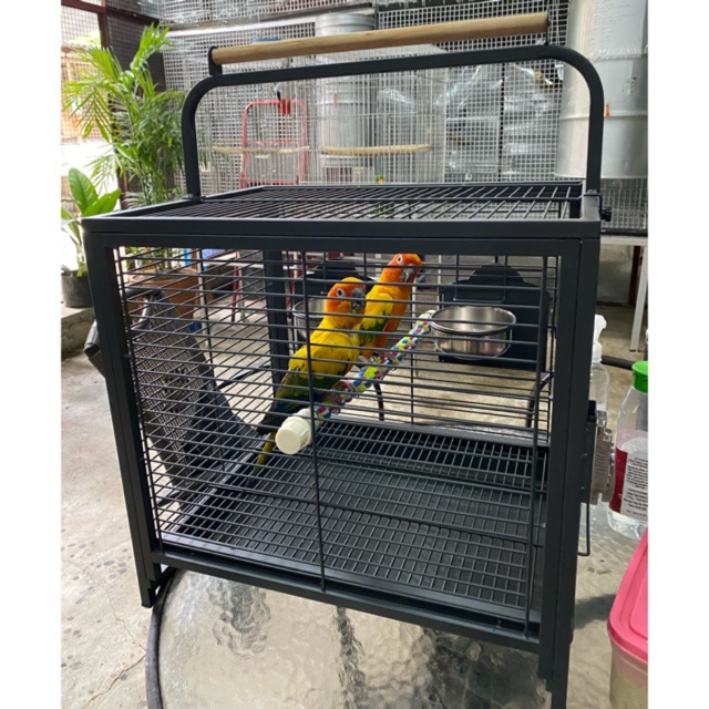 Conure 2024 travel cage