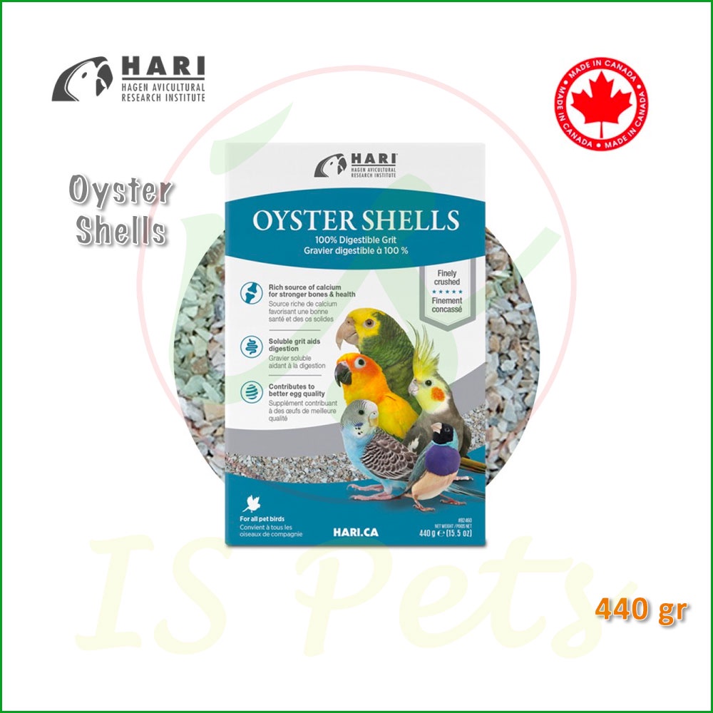 Hagen Oyster Shells Soluble Grit Parrot Cockatiel Falk Budgie Conure ...