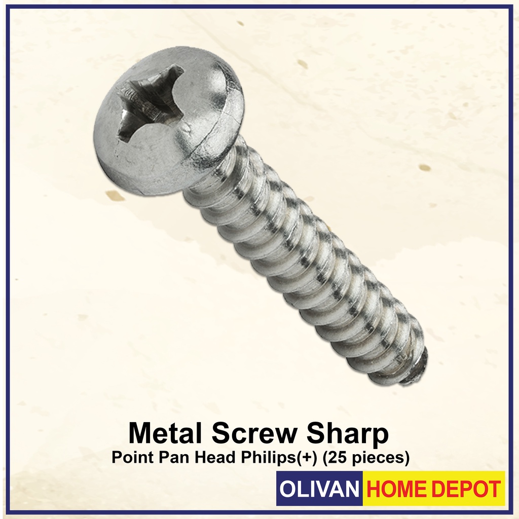 Fixpro Metal Screw Sharp Point Pan Head Philips(+) (10 pieces) | Shopee ...