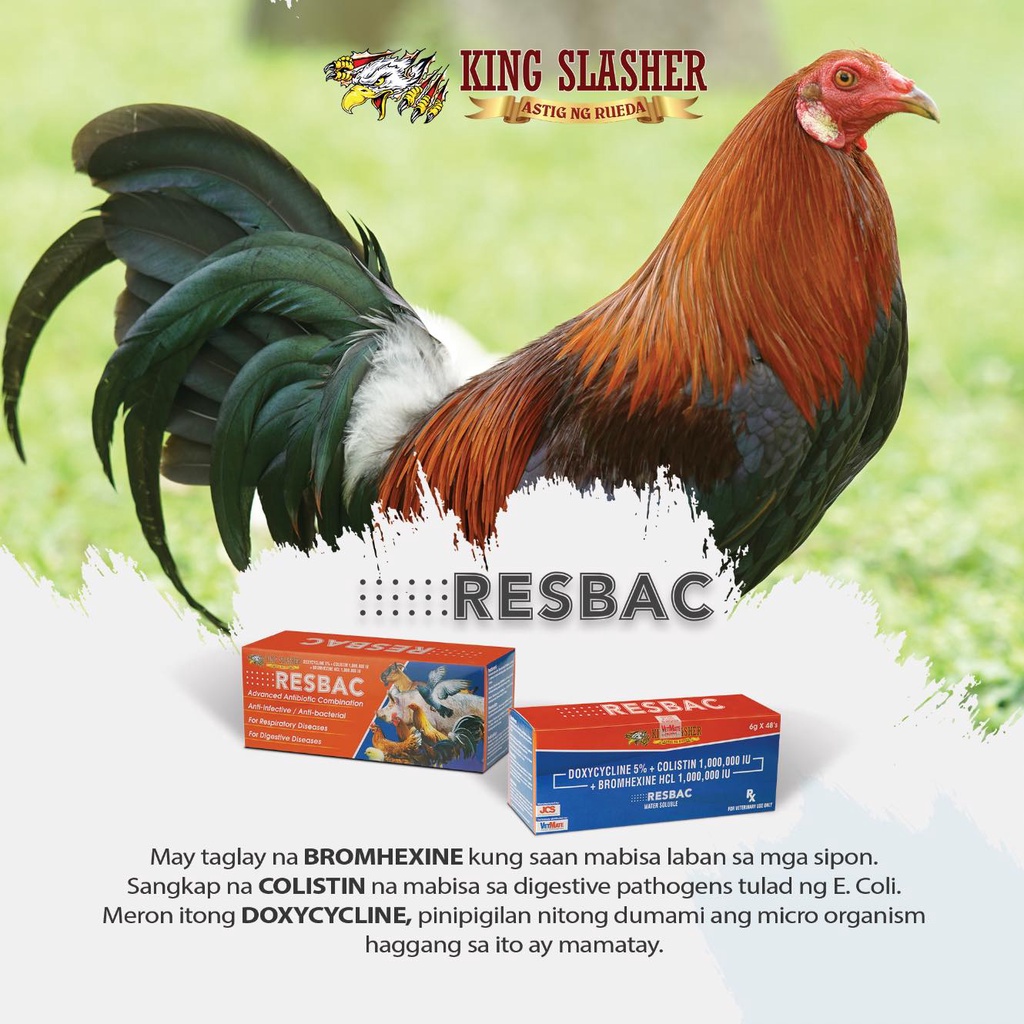 Resbac by King Slasher 6g (SOLD PER SACHET) | Shopee Philippines