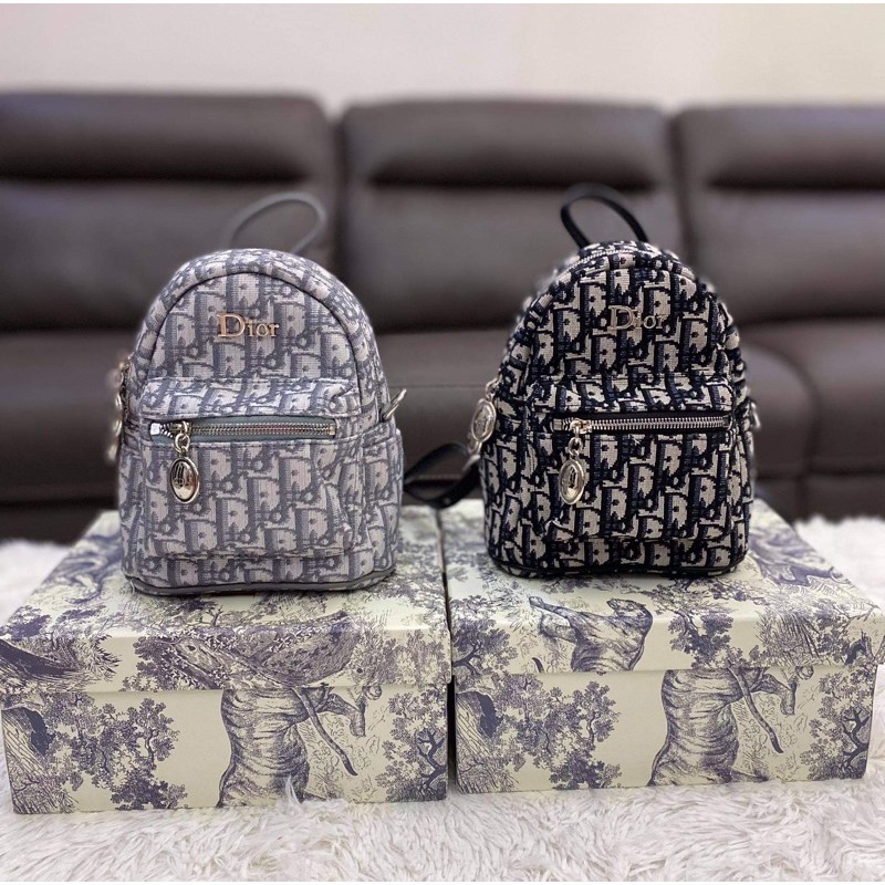 Dior store backpack mini