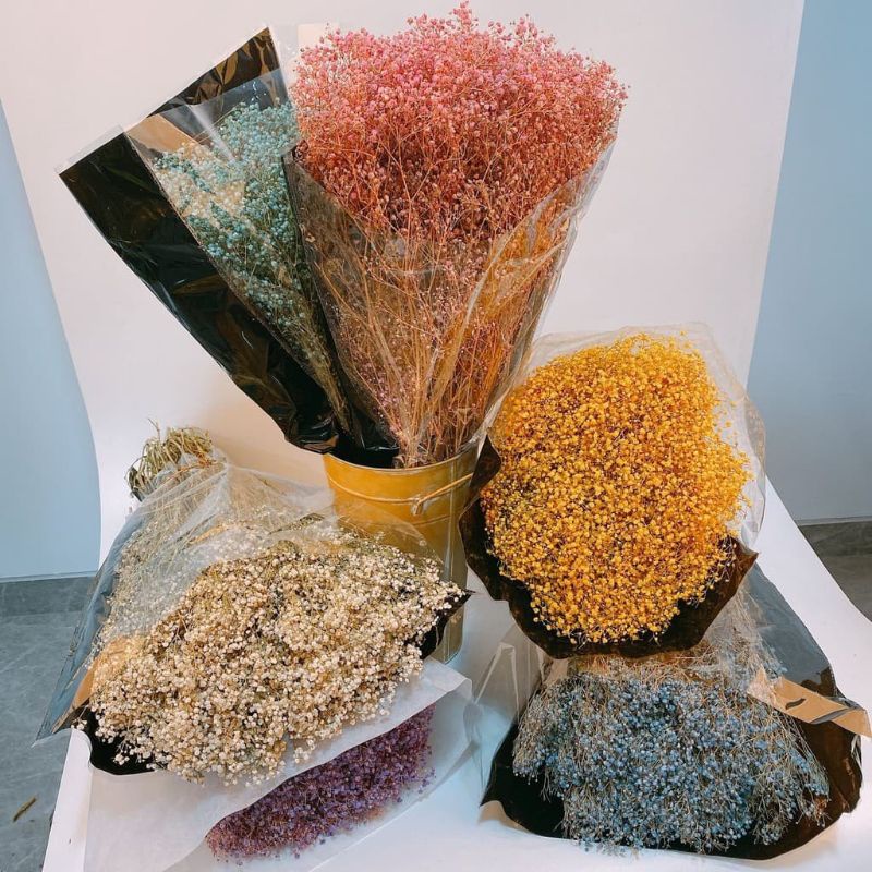 Babysbreath Gypsophila Dried Flower/Dried Flower Bazaar Shopee
