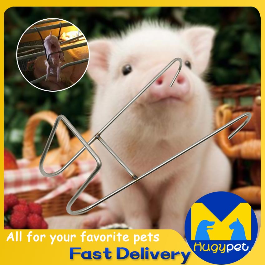 Simple Pig Castration Device Vterinary Equipment Piglets Castrated