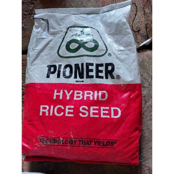 PIONEER PHB 79 HYBRID RICE SEEDS 3KGS. OCT.2023 | Shopee Philippines