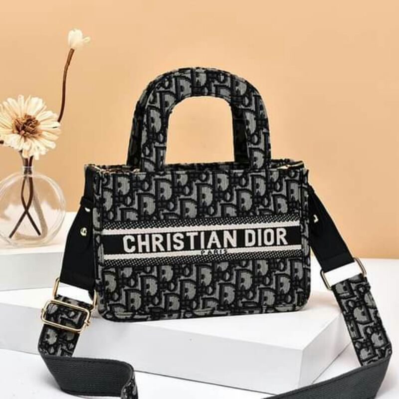 Christian Dior book tote bag sling bag and handbag with zipper