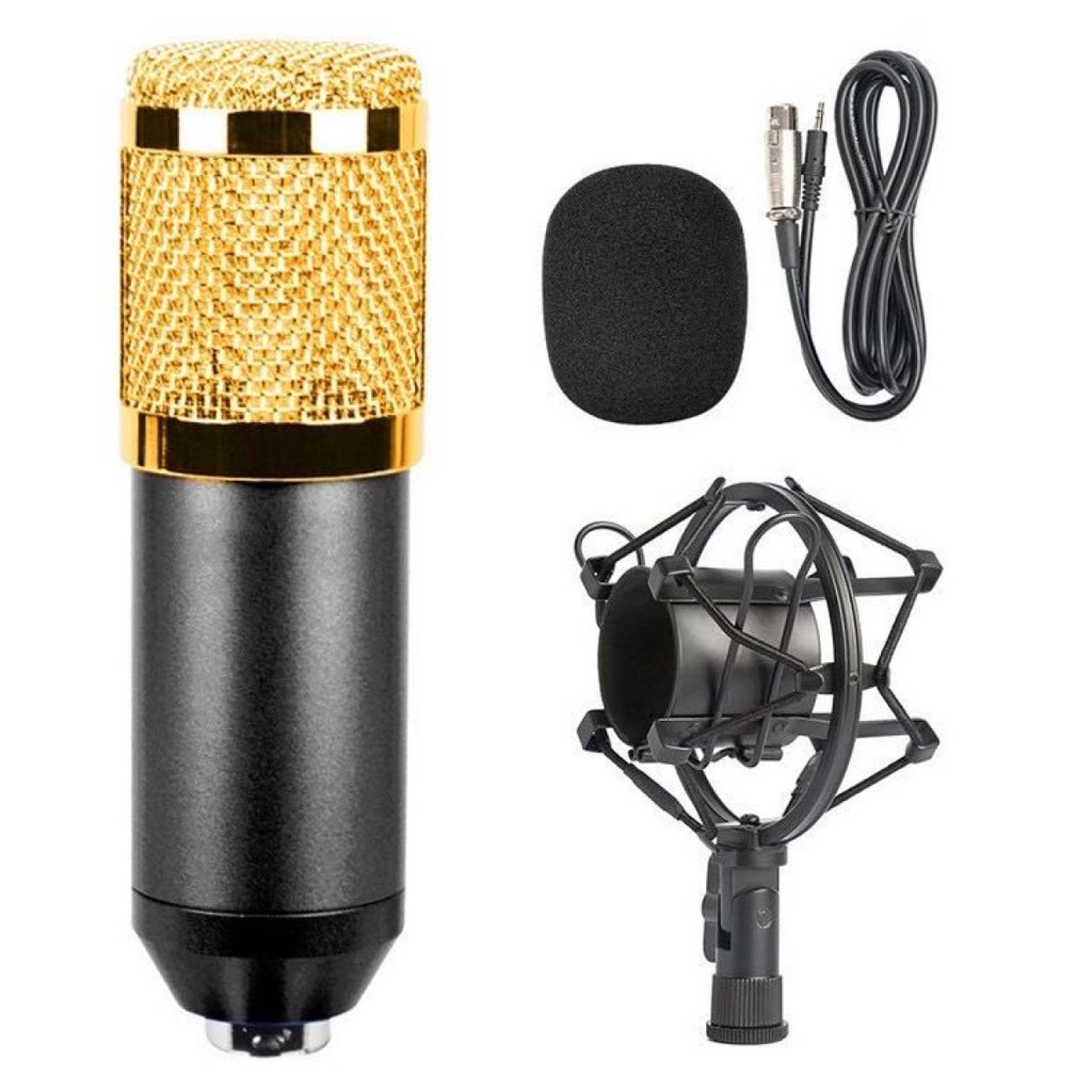 BM800 CONDENSER MICROPHONE WITH V8 AUDIO SOUND CARD Shopee Philippines