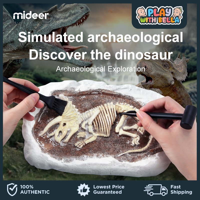 MiDeer Archaeological Explorations Fossil Excavation Game for Kids