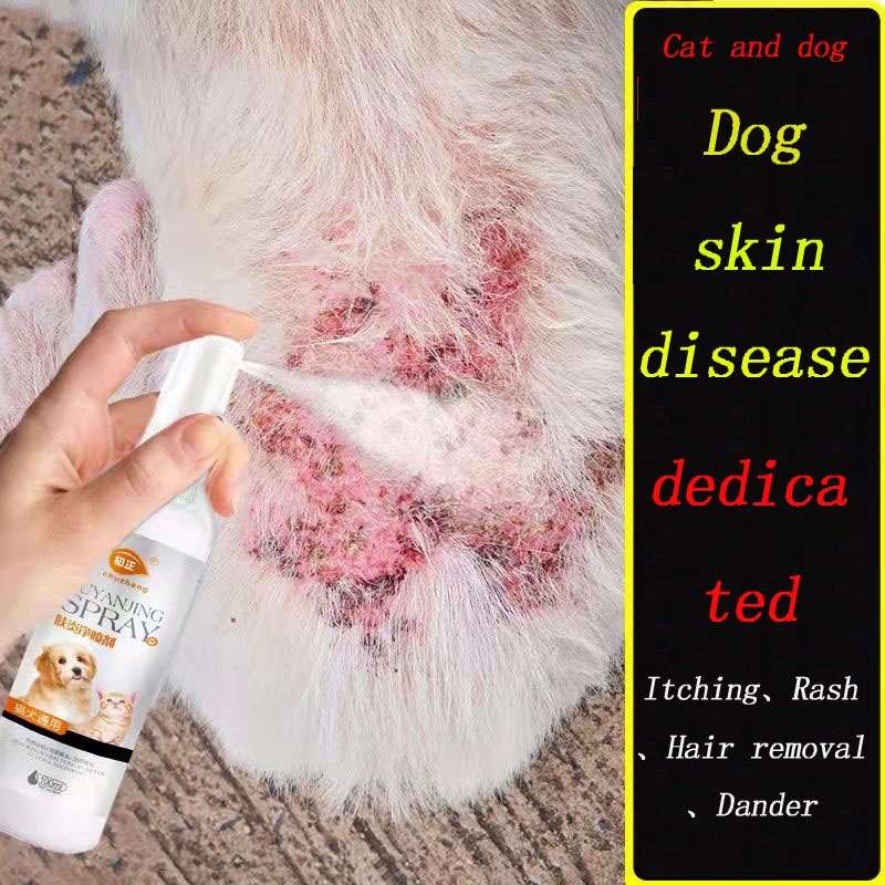 Cure for dog skin disease sales