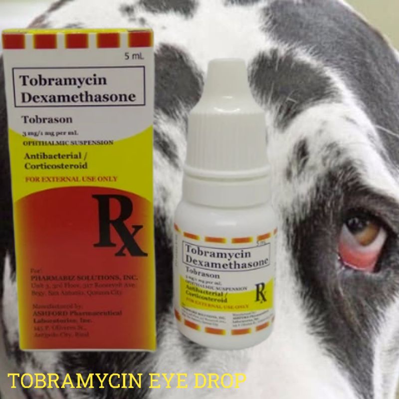 Tobramycin pet's eye drop (tobrason) Shopee Philippines