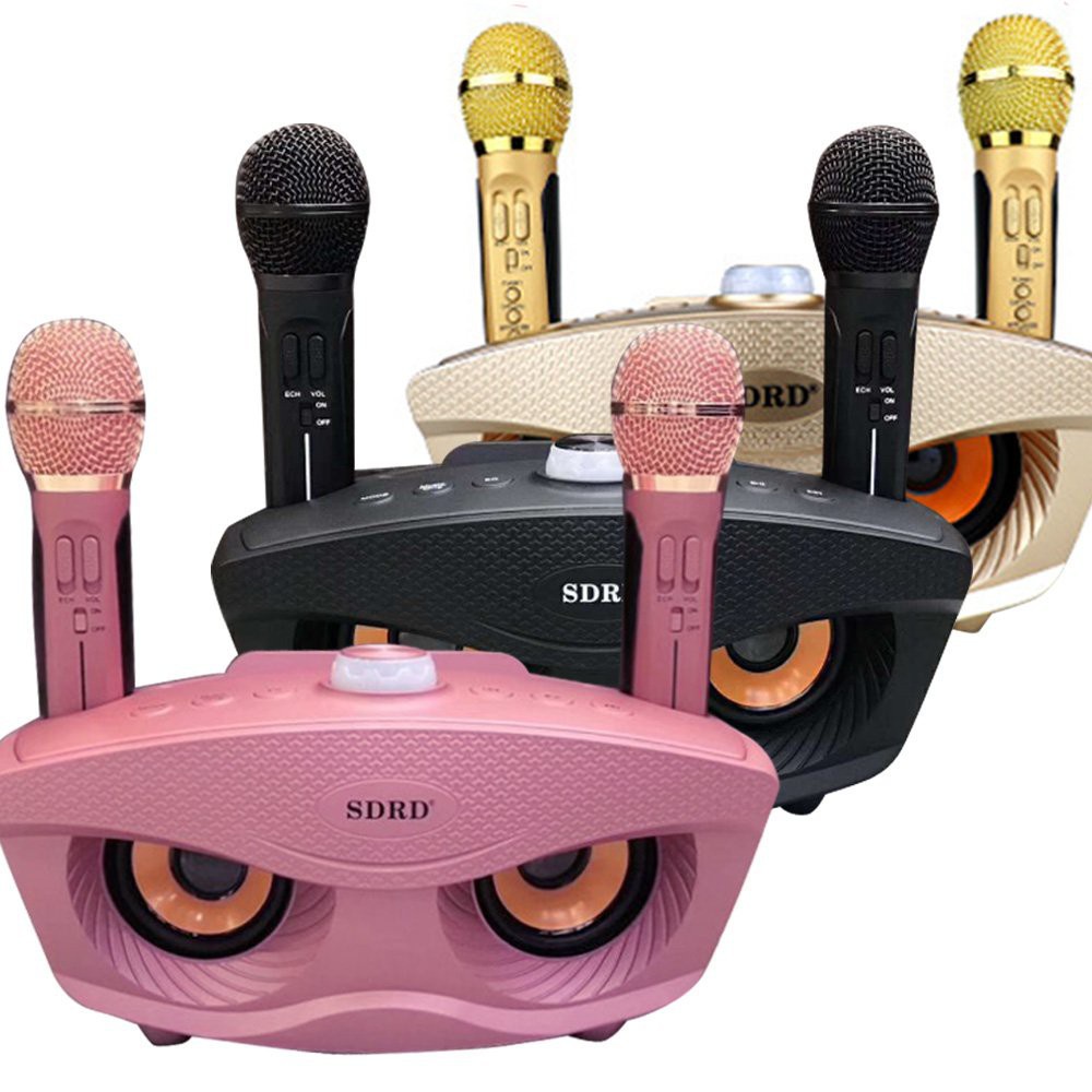 SDRD SD 306 Plus Wireless Bluetooth Dual Microphone Karaoke