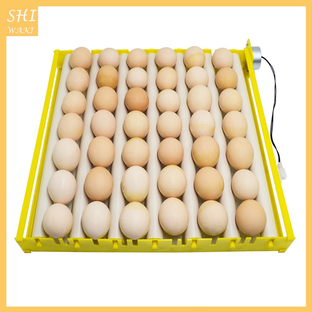 COD!!! 42 Egg Roller Egg Tray Egg Tray Rotary Automatic Egg Turner for ...