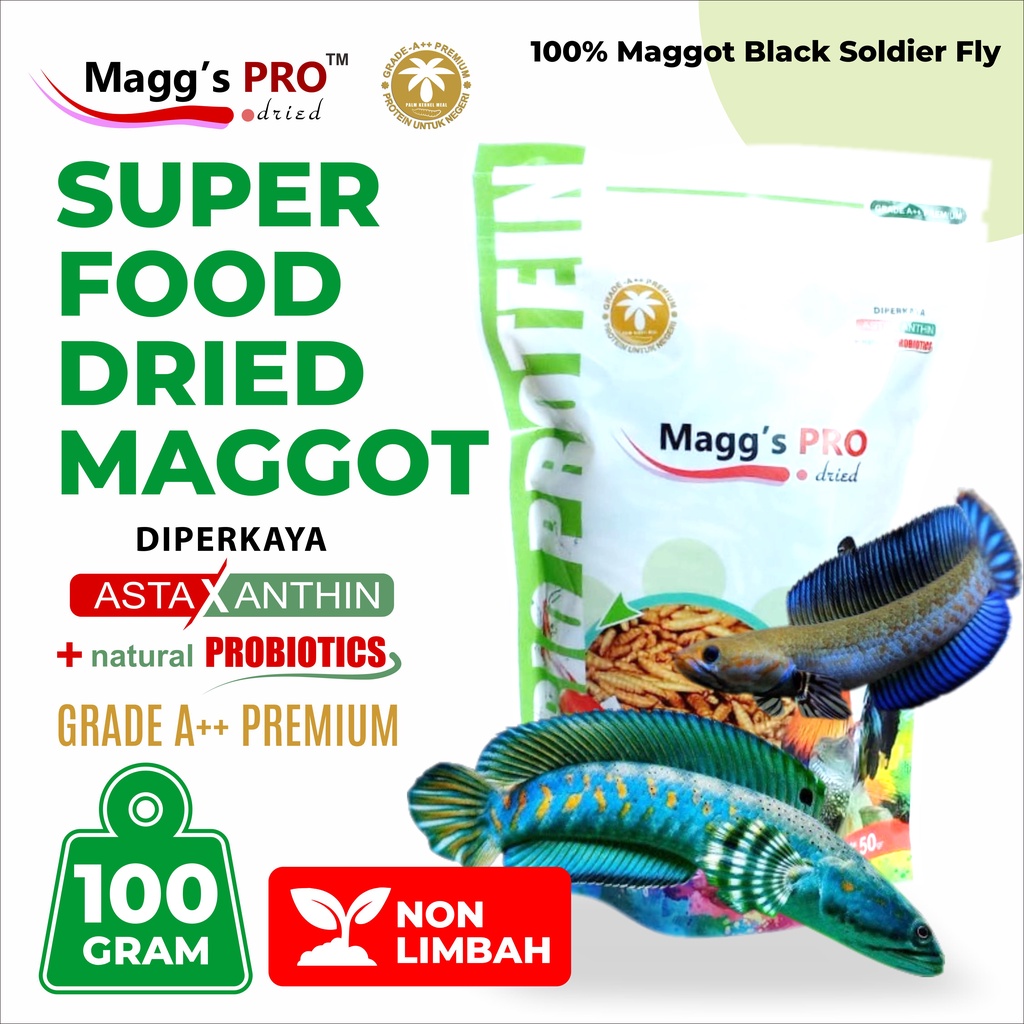 Maggot Dried Goldfish Pro 100g Magot Dried Ornamental Fish BSF