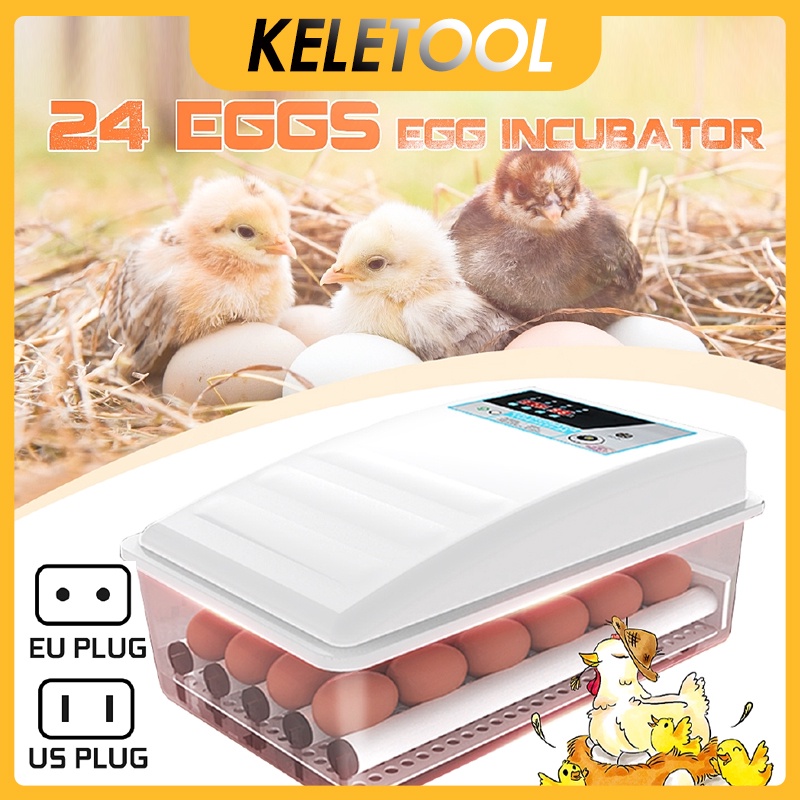 Eggs Incubator Brooder Bird Quail Chick Hatchery Chicken Incubator ...