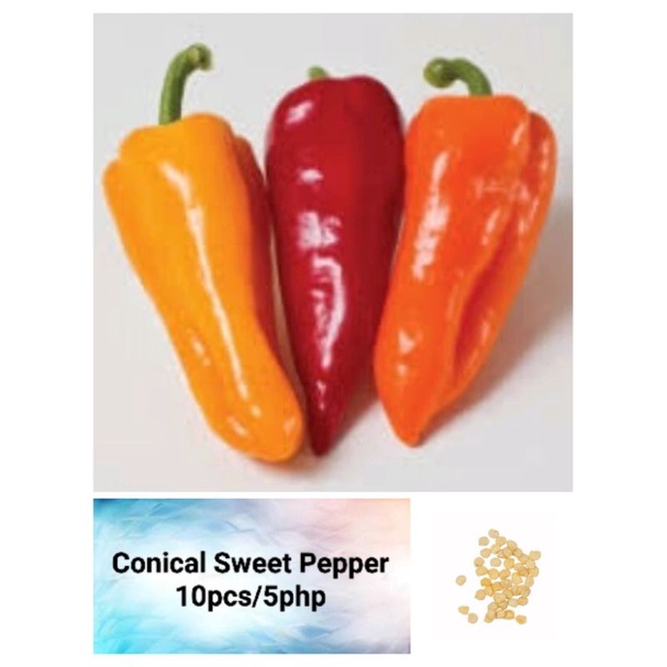 Conical Hybrid Sweet Pepper Seeds (10pcs) | Shopee Philippines