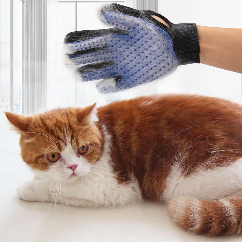 Hair glove for clearance dogs