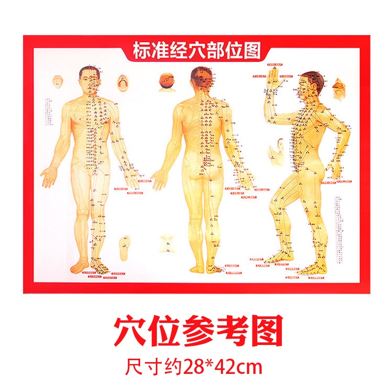 Moxibustion acupoint bitmap human body acupoint bitmap human Meridian ...