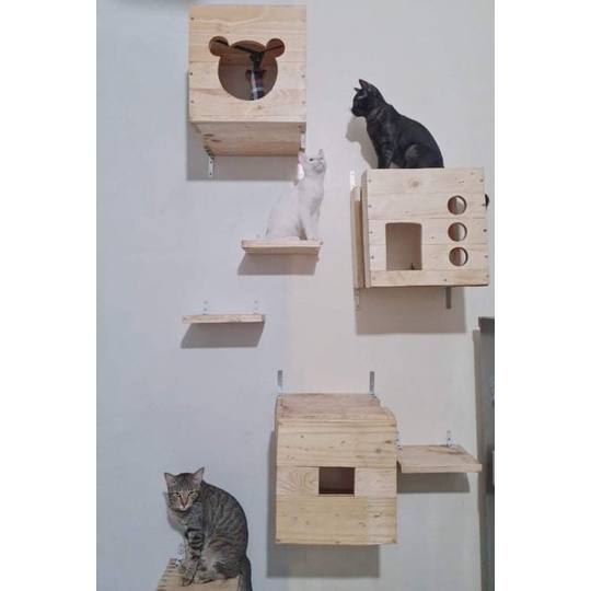 Cat wall clearance condo