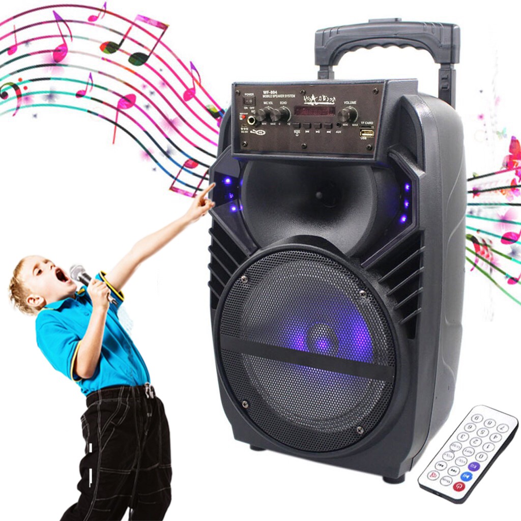 Wireless Portable Speaker System 700W Battery Powered Rechargeable Audio Speaker and Microphone