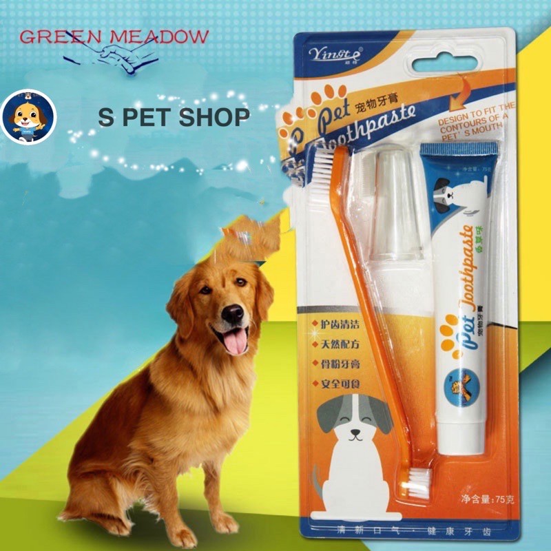 Canine toothbrush and toothpaste best sale