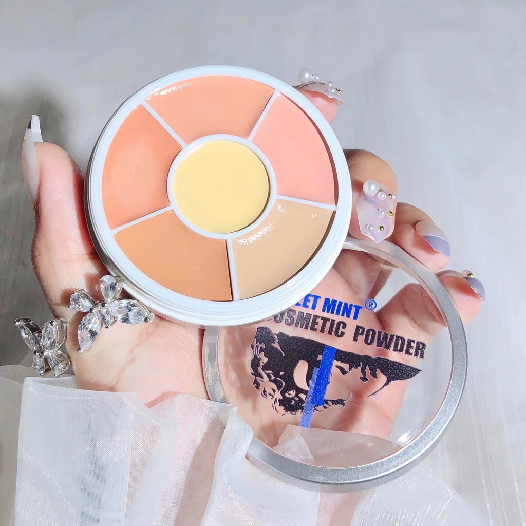 Sweet Mint 6in1 Concealer Palette Full Coverage Foundation Covers Spots ...