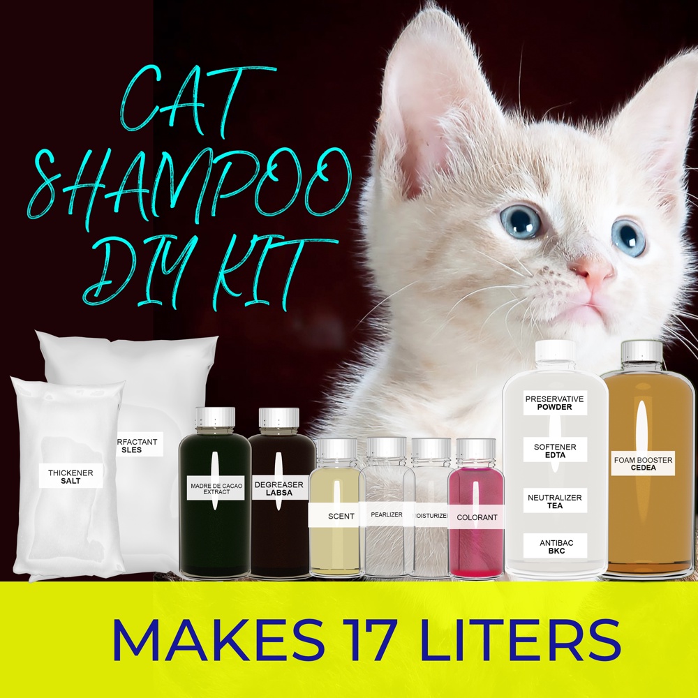 Homemade cat shampoo best sale