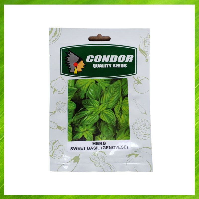 Condor Sweet Basil Genovese Seeds original pack AVY7