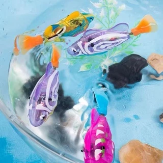 robo fish - Best Prices and Online Promos - Apr 2024