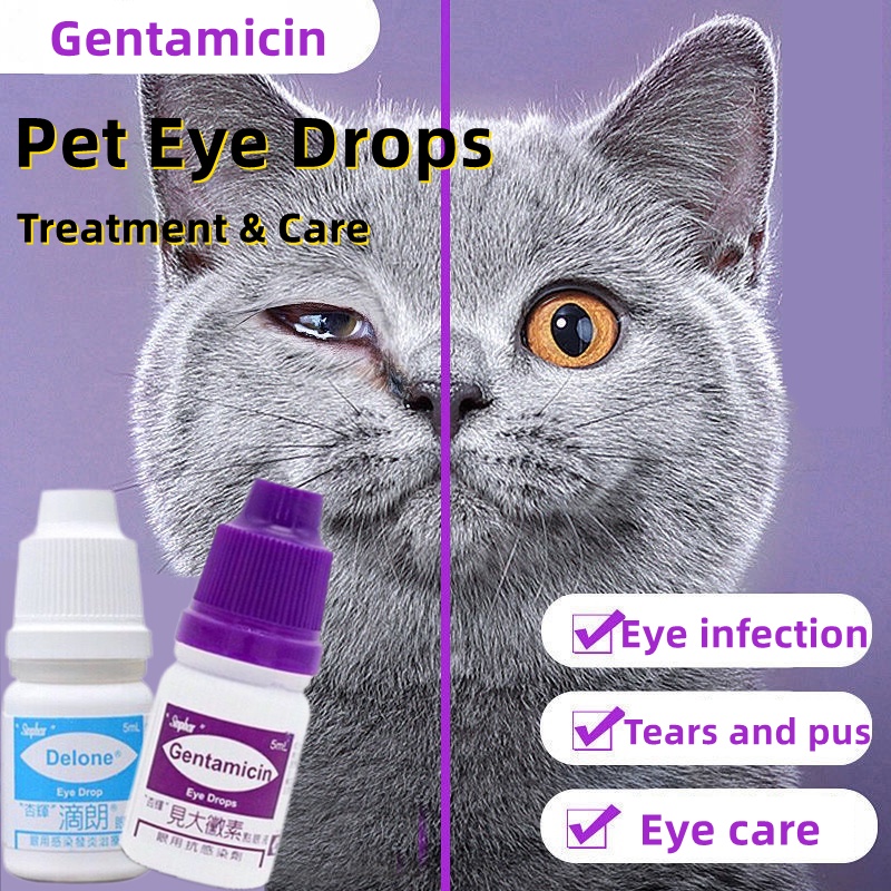 5 ml Gentamicin Eye Drops for Pet Cat Dogs Eye Infection Opthalmic ...