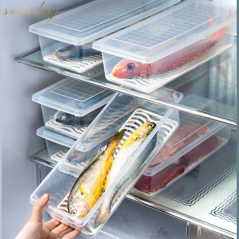 Someday Kitchen Refrigerator Keep fresh Fruits vegetables meat fish