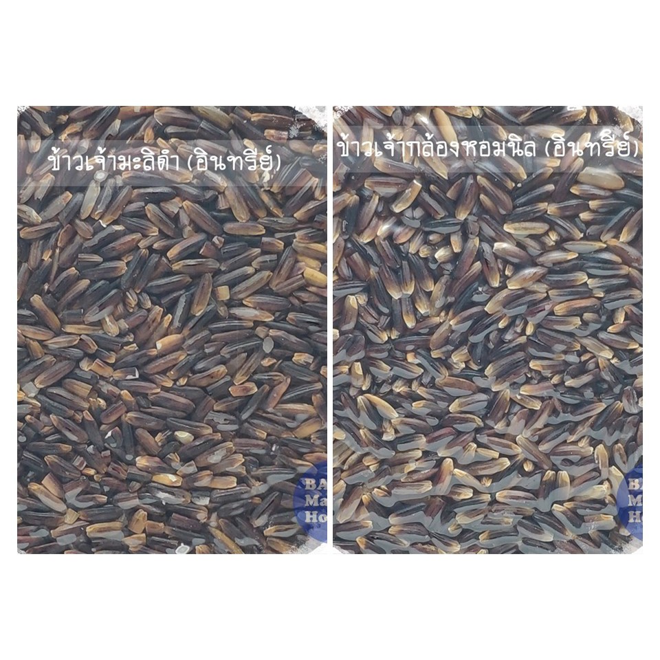 Organic Hom Nil Rice Black Jasmine 1 Kg Per Pack. | Shopee Philippines