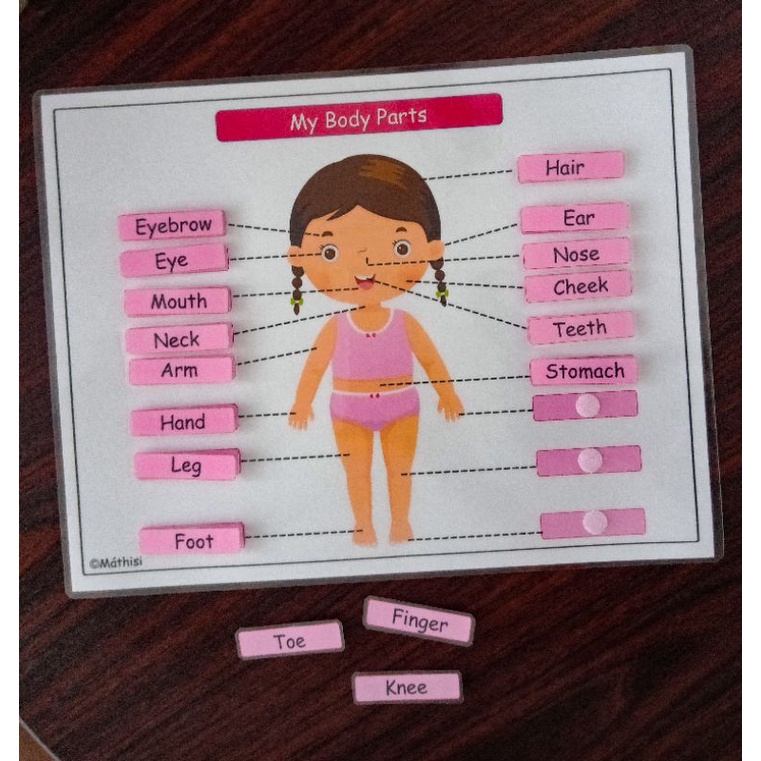 BODY PARTS WORKSHEET (ENGLISH & TAGALOG) LEARNING MATERIAL TEACHING