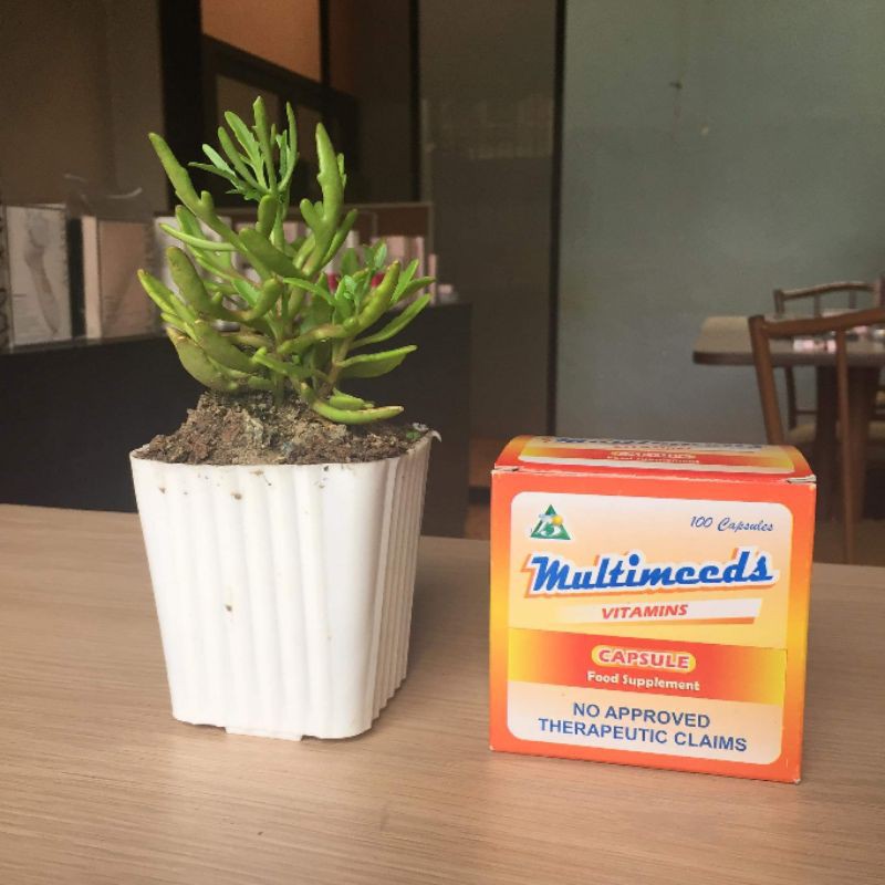 MULTIMEEDS Vitamins (100 capsules) Shopee Philippines