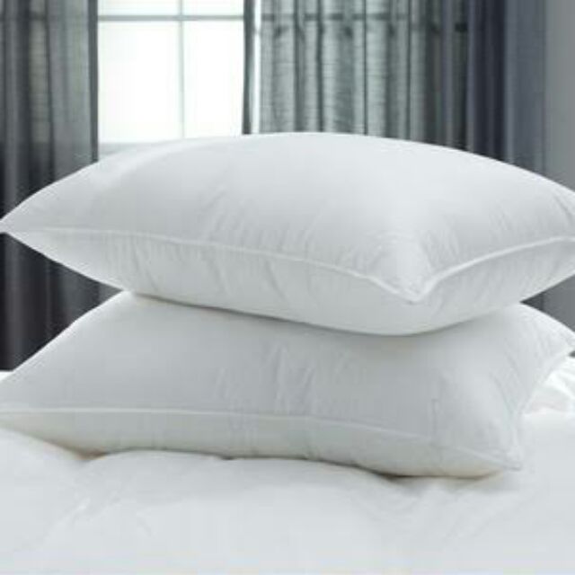 20x30 pillow 2025