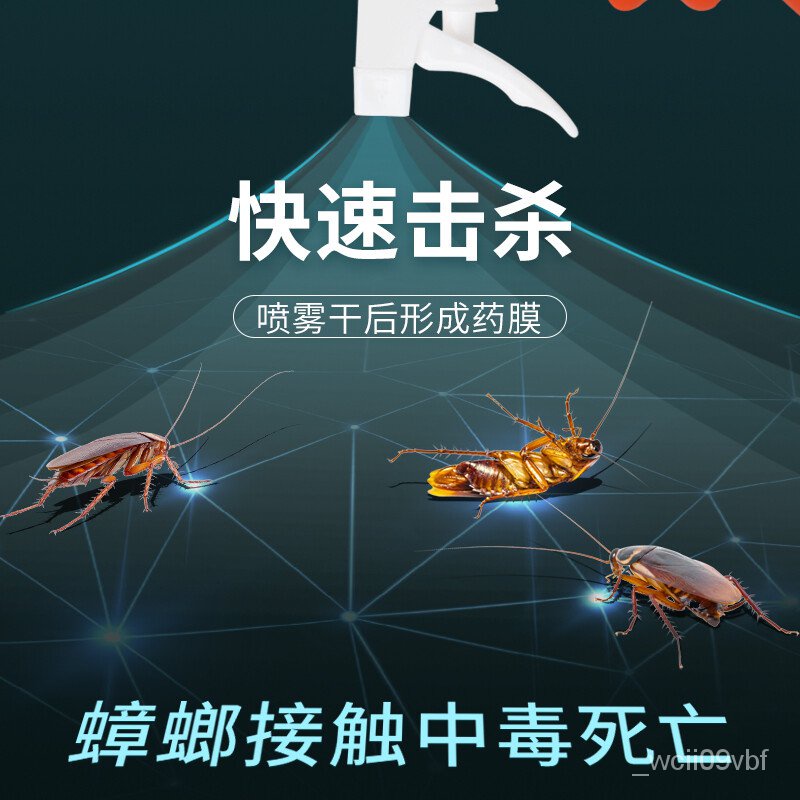 ji yue Roach Killer Full Nest End Home Tool Cockroach Killer Gelatinous ...